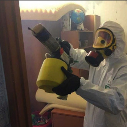 Уничтожение клопов в квартире. Беломорская
